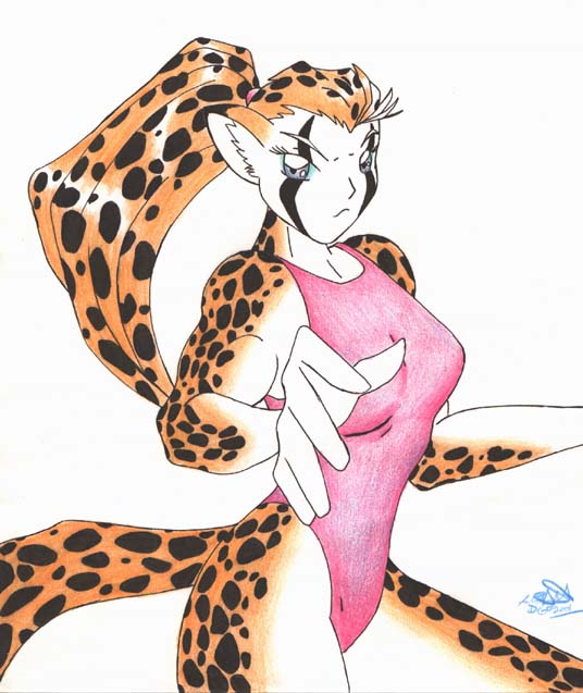 cheetah.jpg