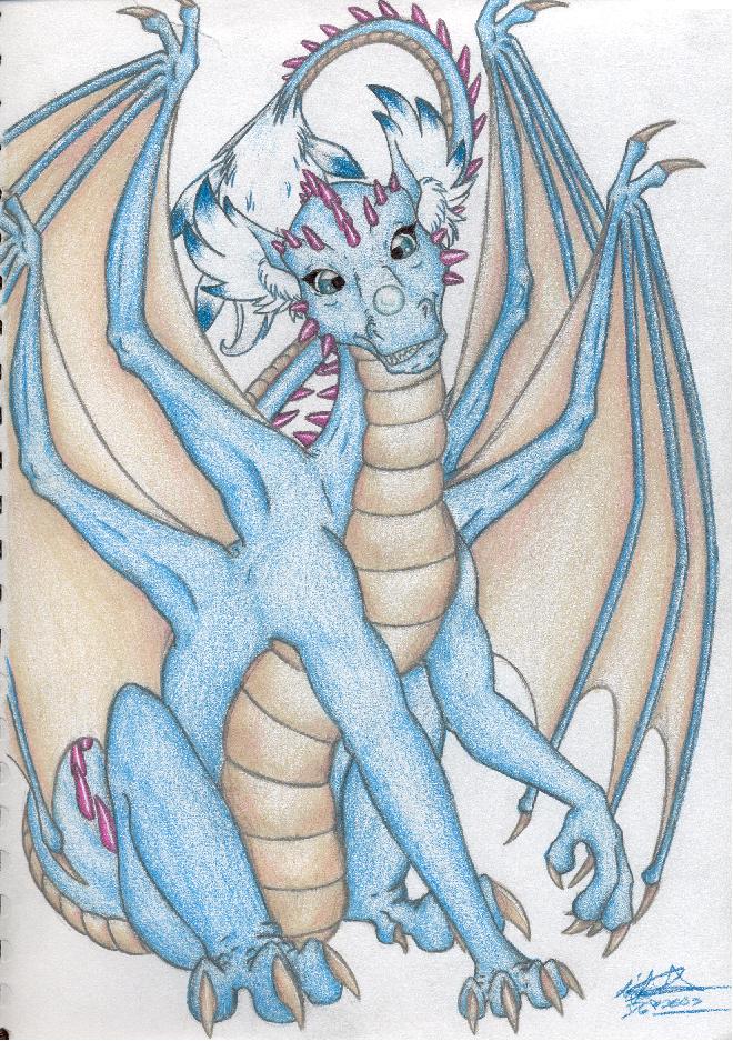 cyaneus.jpg