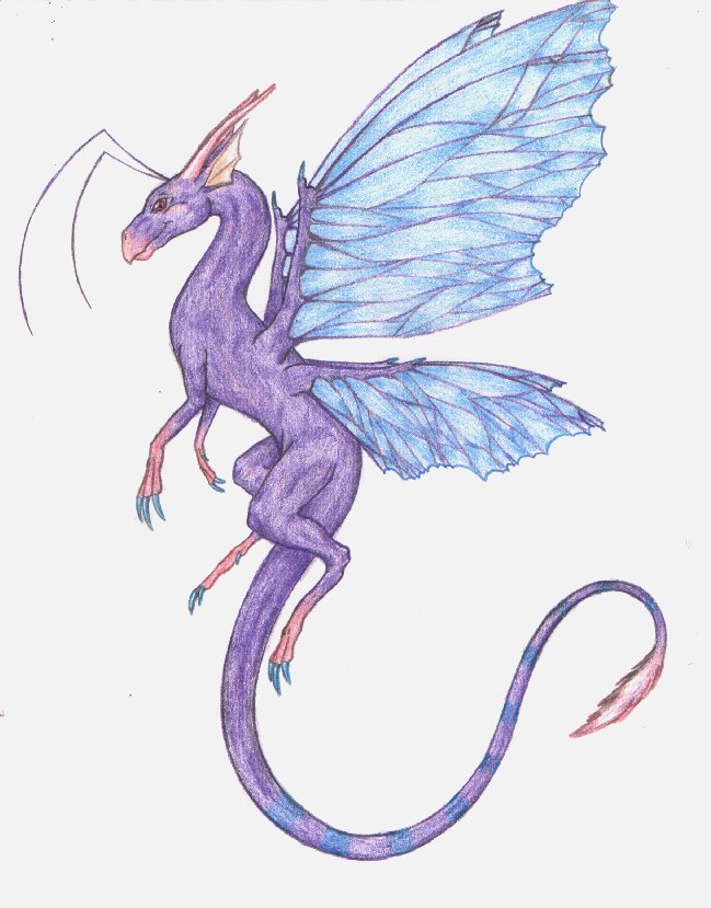fairydragon.jpg