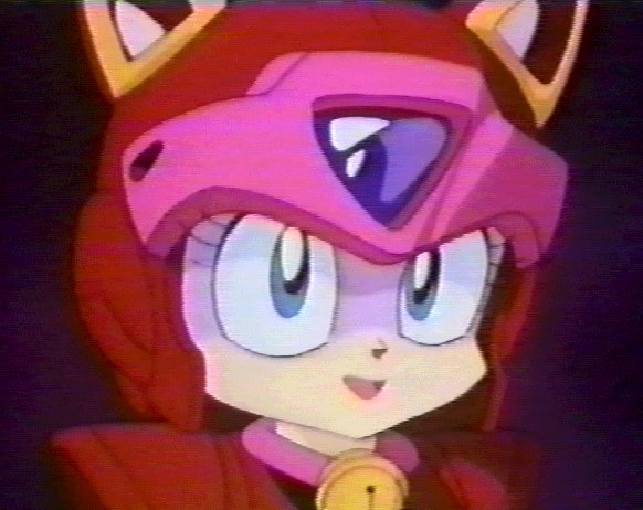 pinkpizzacat.jpg