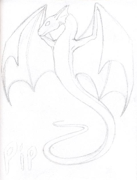 pipsketch.jpg