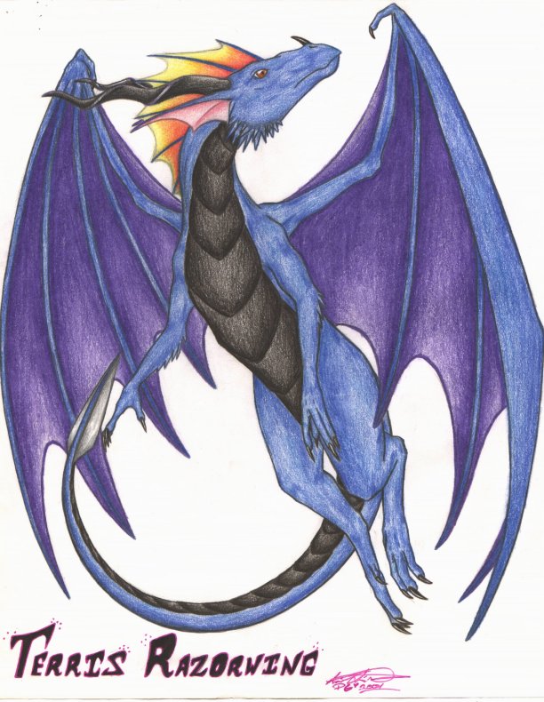 razorwing.jpg